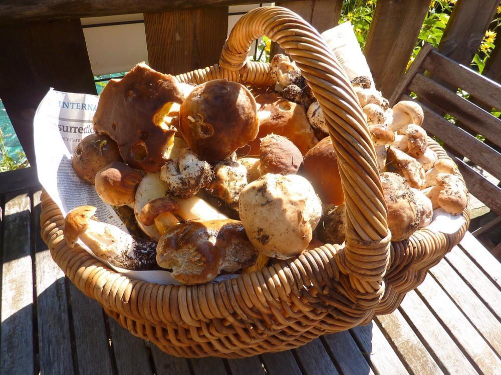 La Bergerie Du Plateau Gasthof *